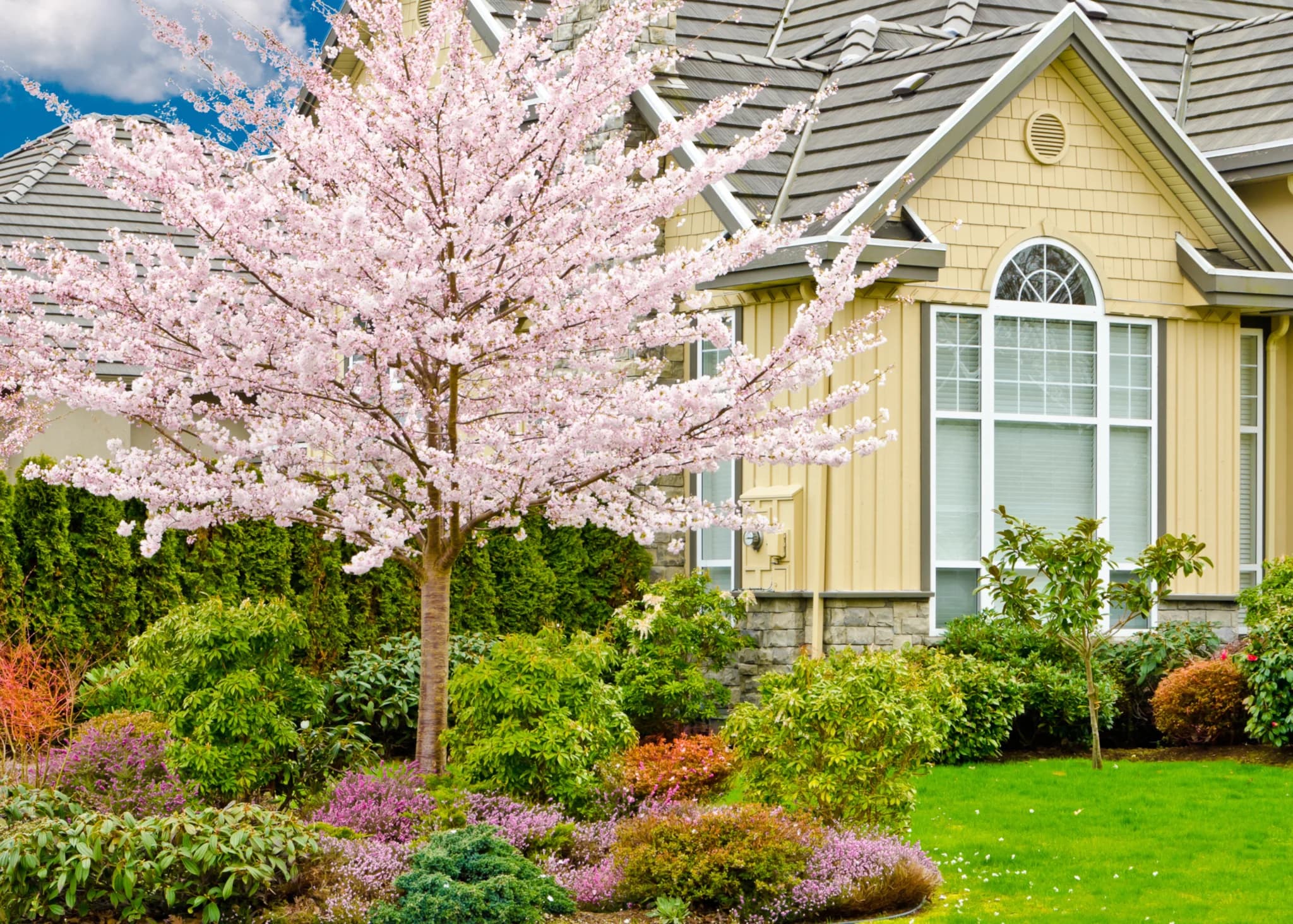 Landscaping Indianapolis